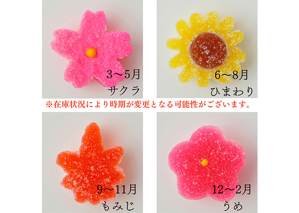 いろどりキューブゼリー